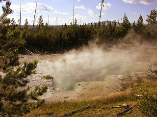 Image showing Yellowstone Geyser