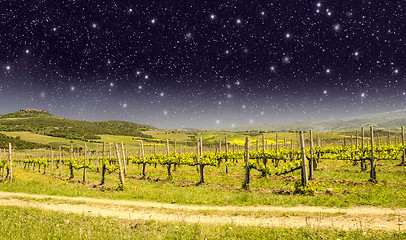 Image showing Fields and Meadows of Tuscany in Spring