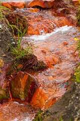 Image showing Polluted water flowing