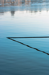 Image showing Abstract photo of a cable in the water