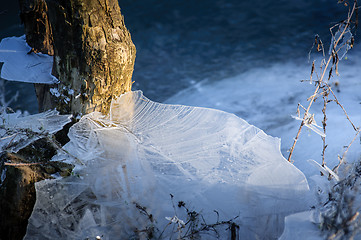 Image showing Tree trunk frozen in the ice