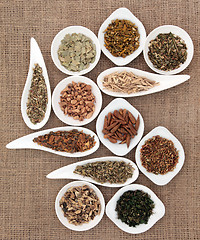 Image showing Medicinal and Magical Herbs