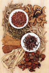 Image showing Herbal Medicine