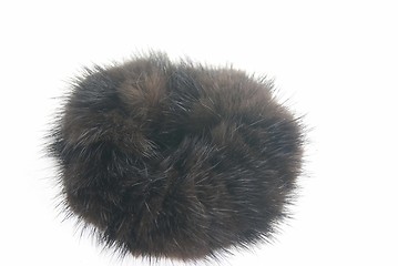 Image showing A mink hair tie