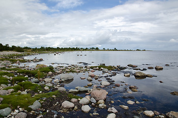 Image showing Coast