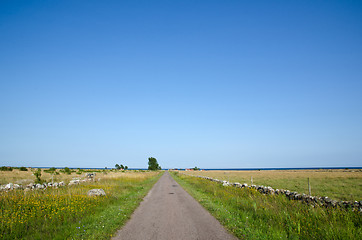 Image showing Summer road