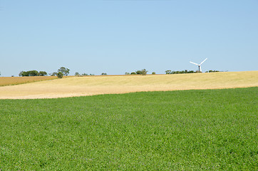 Image showing Fields