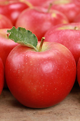 Image showing Red apples with leaves