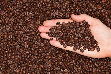 Image showing Roasted coffee beans on a hand