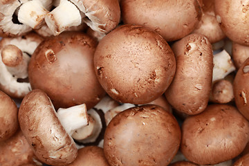 Image showing Brown mushrooms