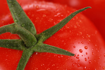 Image showing Macro shot of a tomato