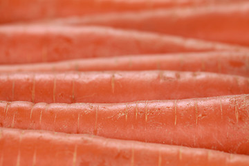 Image showing Carrots