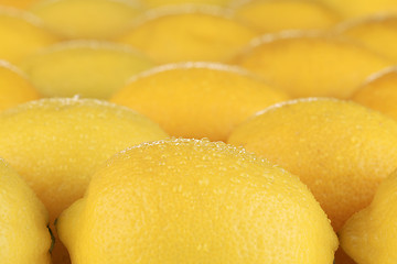 Image showing Lemons