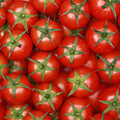 Image showing Small tomatoes