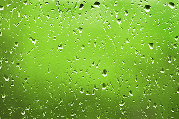 Image showing water drops on glass