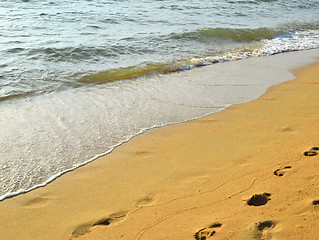 Image showing sand beach