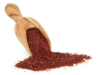 Image showing Sumac Spice