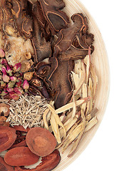 Image showing Chinese Herbal Medicine