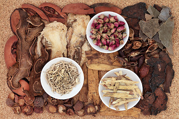 Image showing Traditional Chinese Medicine