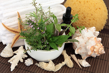 Image showing Herbal Spa Treatment