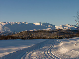 Image showing Ski tracks