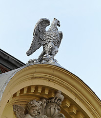 Image showing Silver Eagle