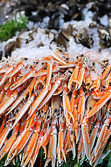 Image showing Norway lobster