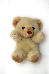 Image showing Teddy Bear