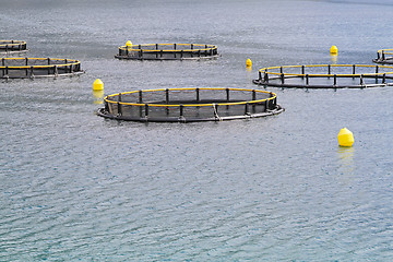 Image showing Aquaculture nets