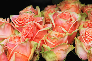 Image showing Vintage roses