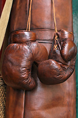Image showing Boxer gloves