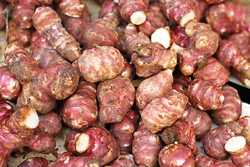 Image showing Jerusalem artichoke