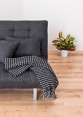 Image showing Gray sofa and bright plant in the living room 