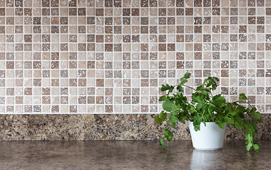 Image showing Green herbs on kitchen countertop