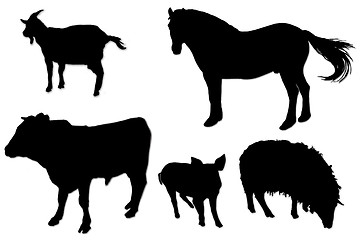 Image showing black silhouettes of domestic animals