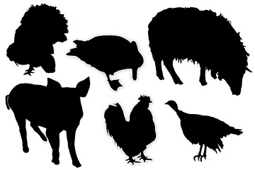 Image showing black silhouettes of domestic animals and birds