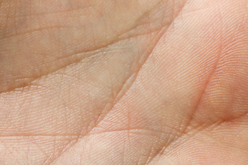 Image showing Human skin