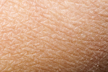 Image showing Human skin