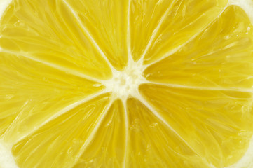 Image showing Lemon close up