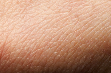 Image showing Human skin