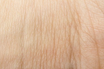 Image showing Human skin