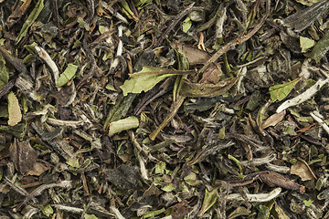 Image showing organic white tea