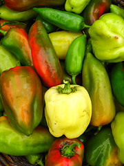 Image showing a lot of sweet bulgarian ripe peppers