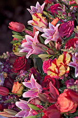 Image showing Flower Arrangement