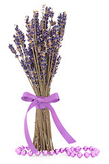 Image showing Lavender Herb Flowers