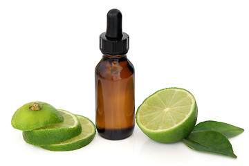 Image showing Lime Essential Oil