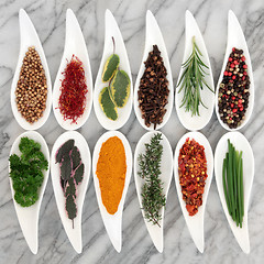 Image showing Spices and Herbs