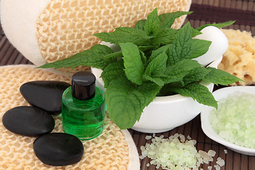 Image showing Mint Herb Spa Treatment
