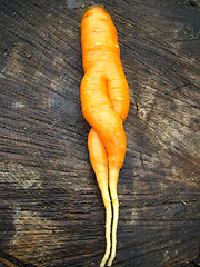 Image showing Unusual carrot lying on a stub