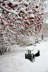 Image showing After snowstorm. Street lamp.